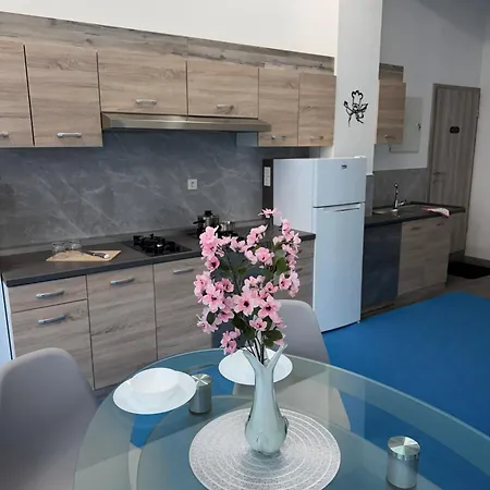 Linden Tree Curnovec