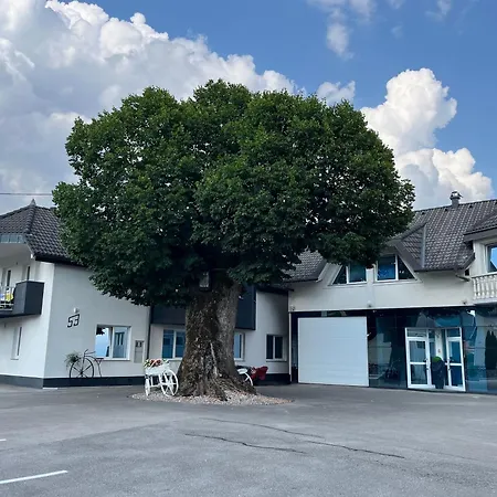 Linden Tree Ostello Curnovec