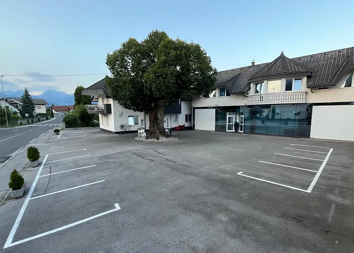 호스텔 Linden Tree